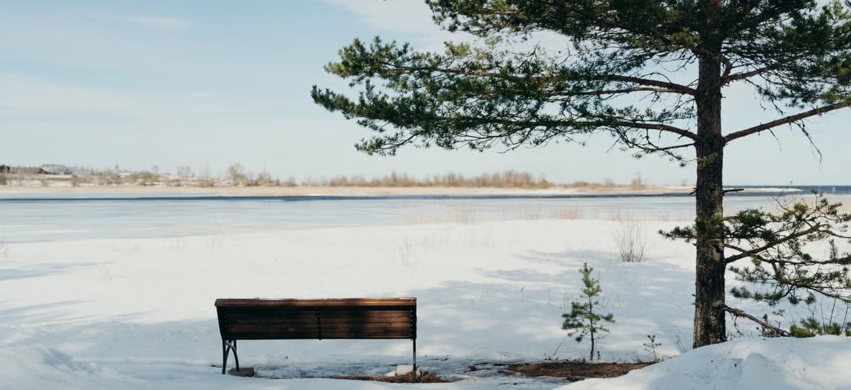 Tranquil snowy scene with a wooden bench overlooking a frozen lake in winter.