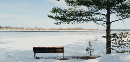 Tranquil snowy scene with a wooden bench overlooking a frozen lake in winter.